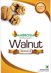 Walnut Kernels