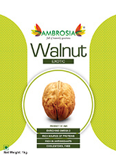 Walnut In Shell