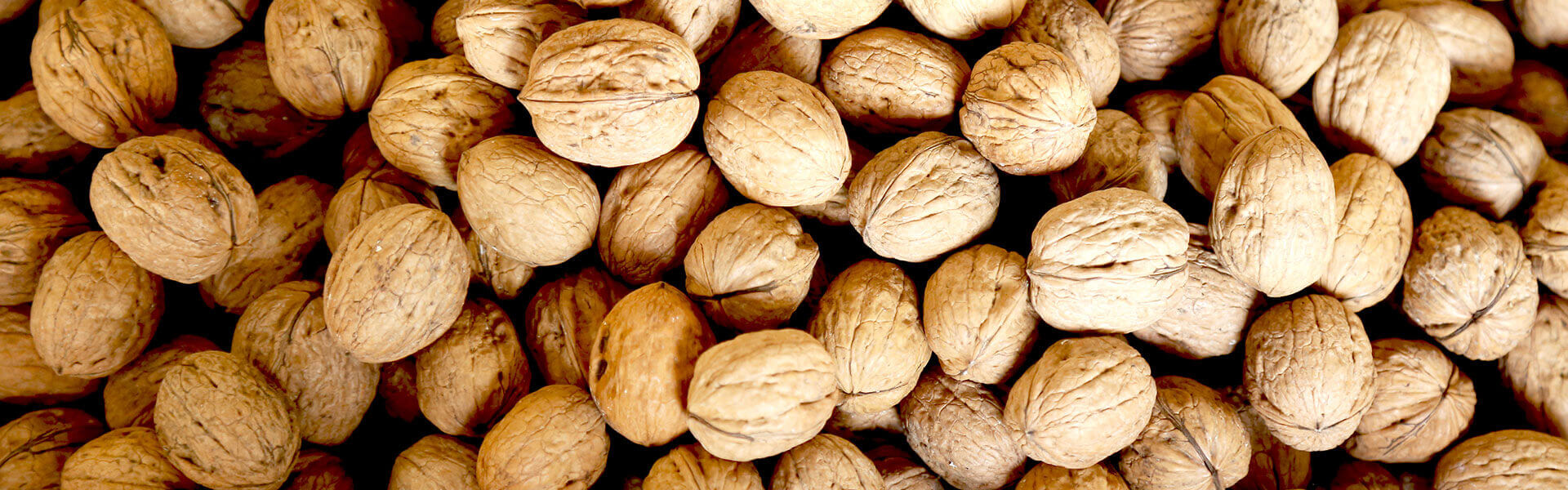 Buy california walnuts online